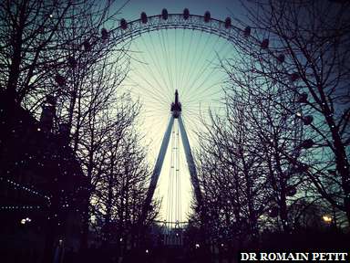London Eye à la tombée du jour