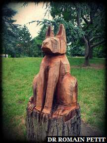 Sculpture sur bois du Chien