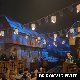 Zone d'embarquement / débarquement de Frozen Ever After par Romain Petit