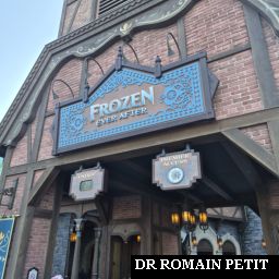 Entrée de Frozen Ever After par Romain Petit