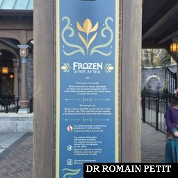 Présentation de l'attraction Frozen Ever After à l'extérieur par Romain Petit