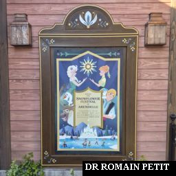 Affiche de présentation de l'attraction Frozen Ever After à l'extérieur par Romain Petit