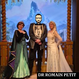 Rencontre royale avec Anna et Elsa par Romain Petit