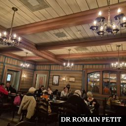 Salle du fast food Nordic Crowns Tavern par Romain Petit