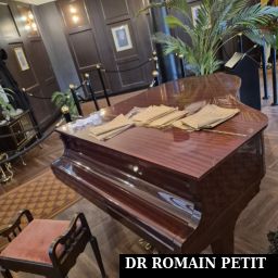 Piano à queue dans la file d'attente du cinéma 4D