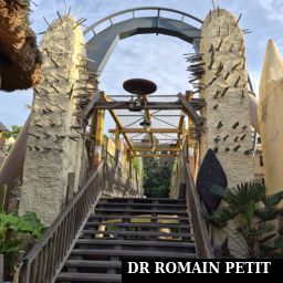 Pont qui traverse le looping de l'attraction Black Mamba