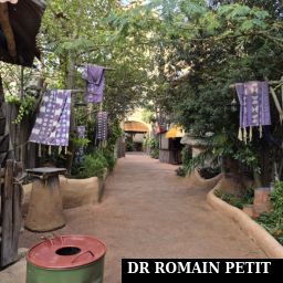 Ruelle près de l'attraction Black Mamba