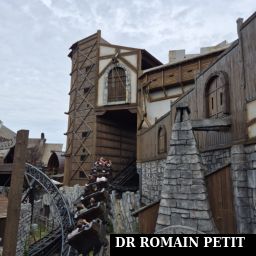 Véhicule de l'attraction Raik