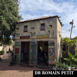 Coiffeur près de l'attraction Black Mamba par Romain Petit