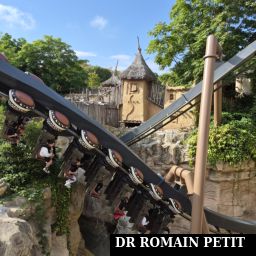 Véhicule de l'attraction Black Mamba par Romain Petit