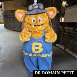 Troll Buddl par Romain Petit