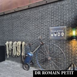 Entrée des toilettes thématisées près de l'attraction F.L.Y. par Romain Petit
