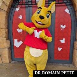 Accueilli par Walibi, la mascotte des parcs Walibi par Romain Petit