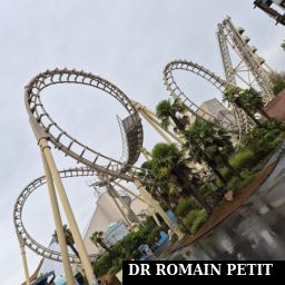 Attraction Cobra par Romain Petit