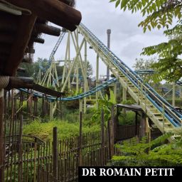 Rails de l'attraction Tiki-Waka par Romain Petit