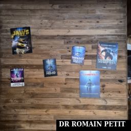 Différentes affiches dans la file d'attente de l'attraction Mecalodon