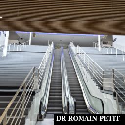 Escaliers et escalators du Grand Hall qui mènent aux gradins